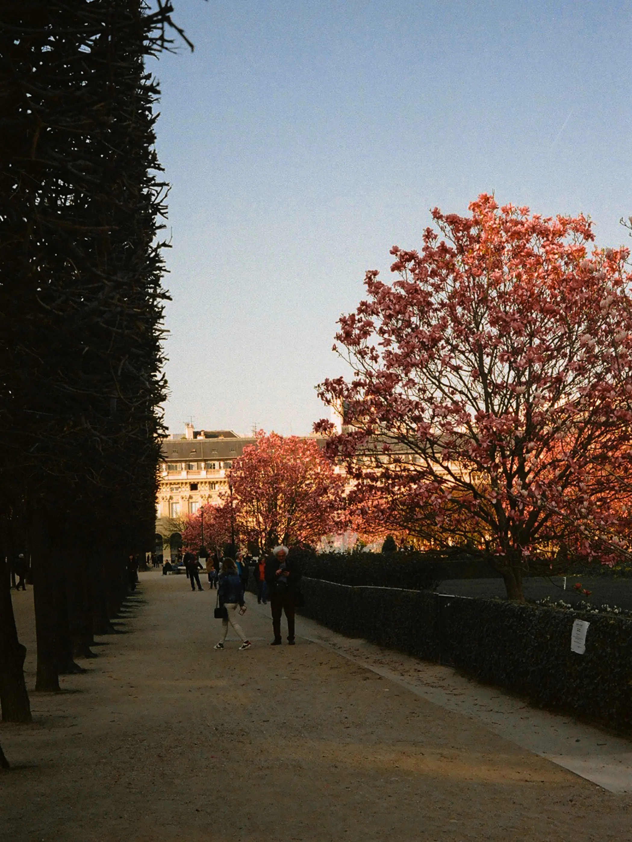 Film photo from Paris
